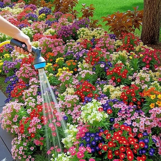 Mixed Flowers Seeds