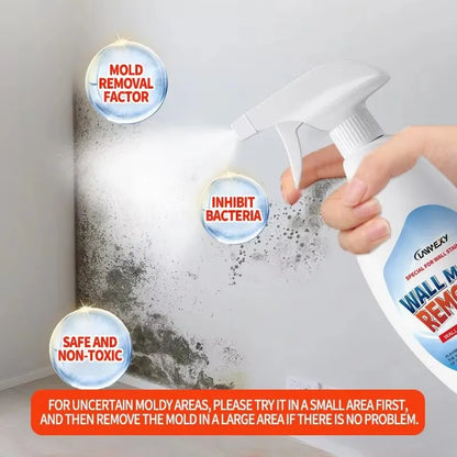 CleanShield Mold Remover